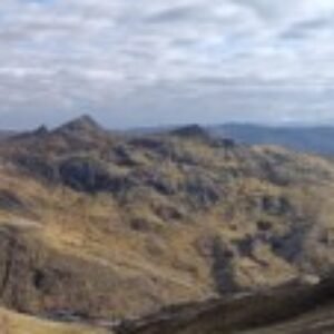 Foto de perfil de Mario Martin Medina Puchuri